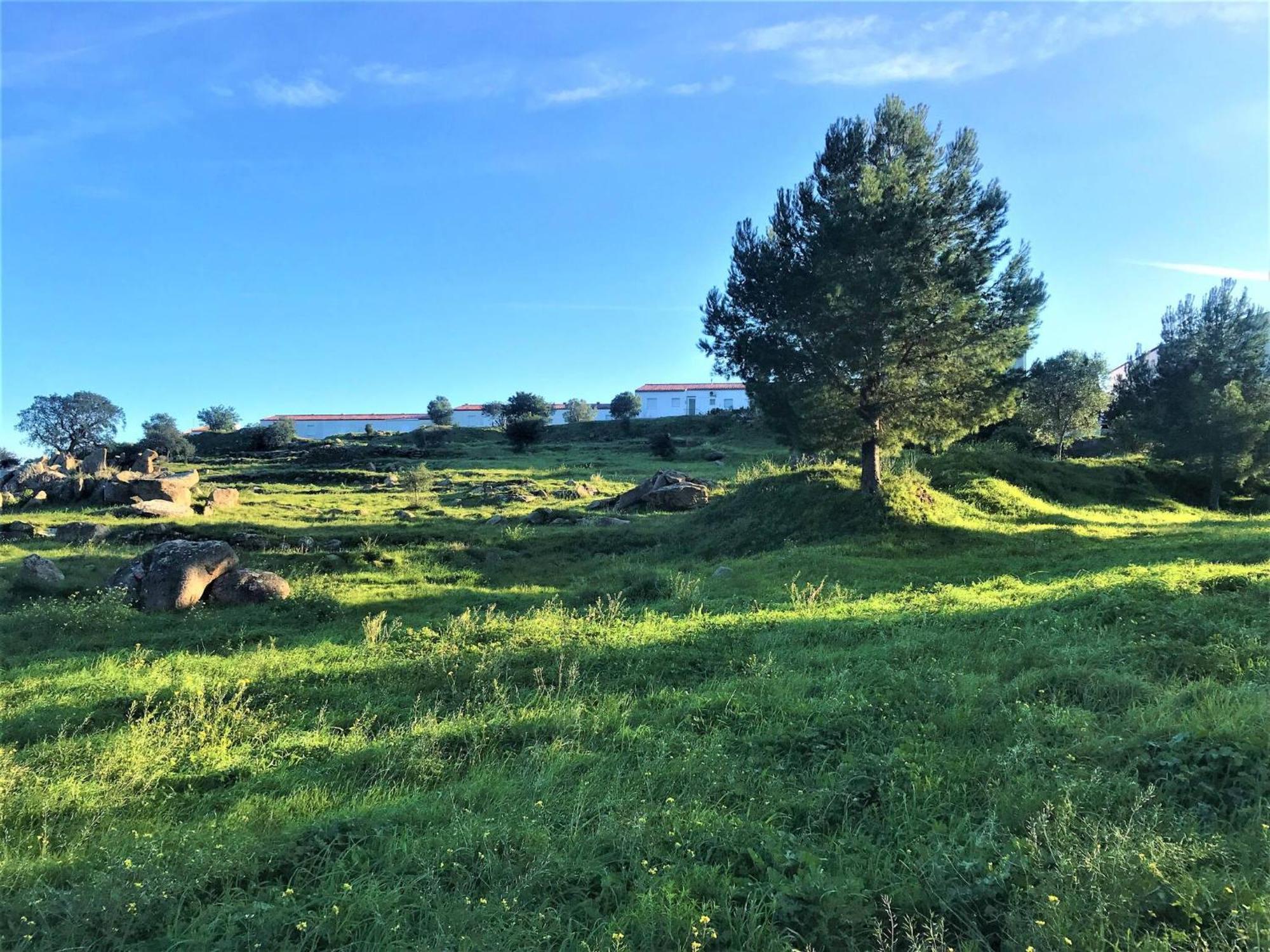 Apartamento En Roses Parking Y Piscina Comunitaria Av-54 Kültér fotó